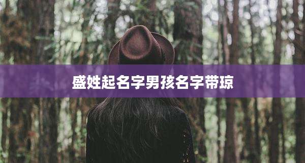 盛姓起名字男孩名字带琼