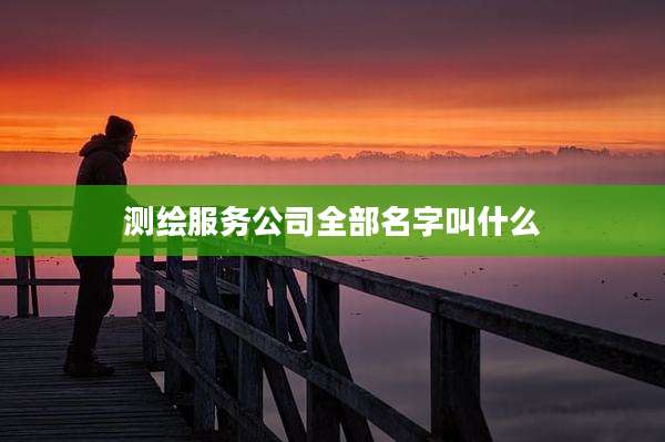 测绘服务公司全部名字叫什么