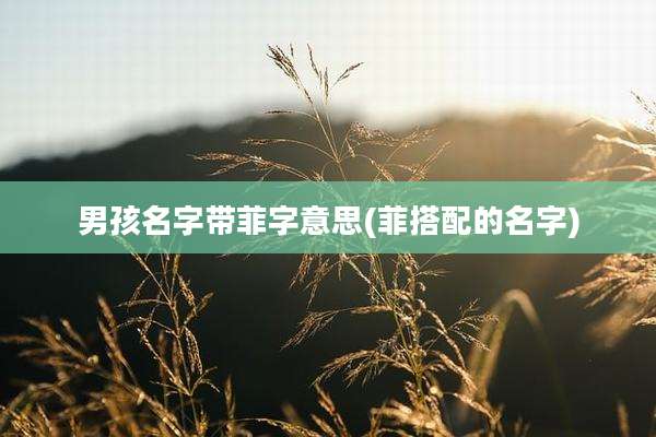 男孩名字带菲字意思(菲搭配的名字)
