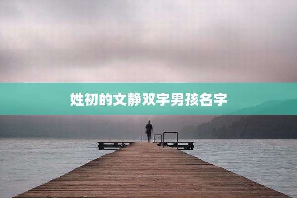 姓初的文静双字男孩名字