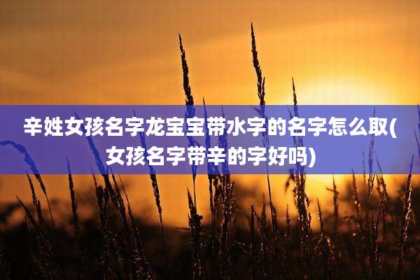 辛姓女孩名字龙宝宝带水字的名字怎么取(女孩名字带辛的字好吗)