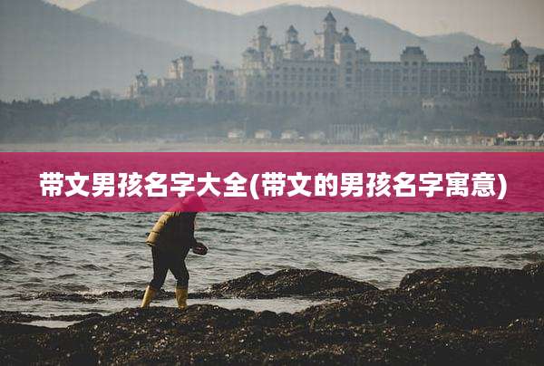 带文男孩名字大全(带文的男孩名字寓意)