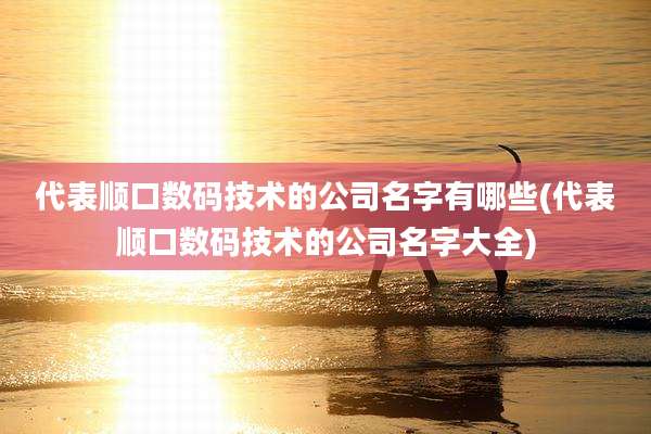 代表顺口数码技术的公司名字有哪些(代表顺口数码技术的公司名字大全)