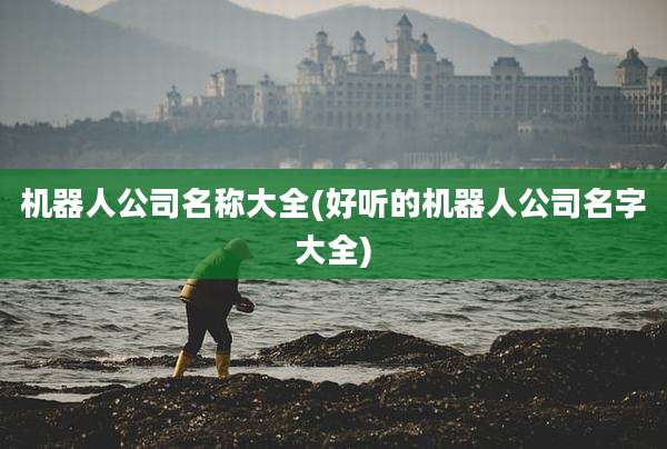 机器人公司名称大全(好听的机器人公司名字大全)