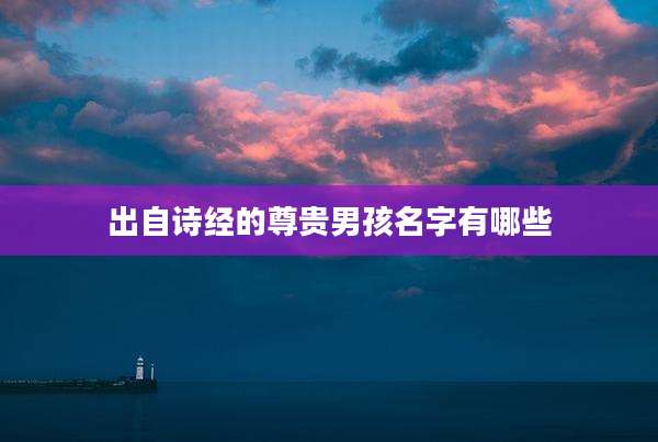 出自诗经的尊贵男孩名字有哪些
