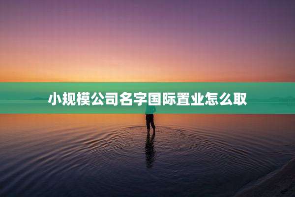 小规模公司名字国际置业怎么取