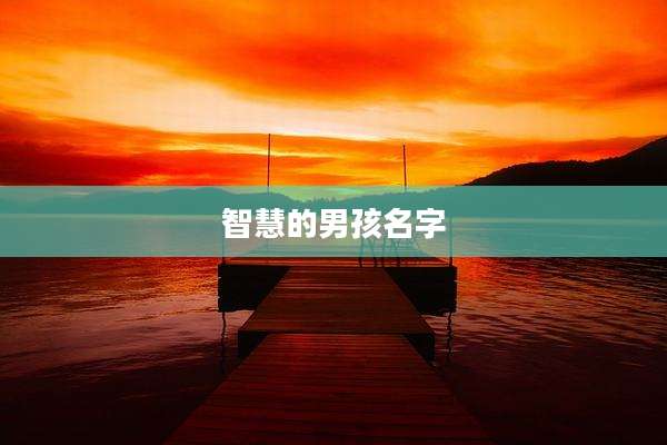 智慧的男孩名字