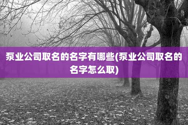 泵业公司取名的名字有哪些(泵业公司取名的名字怎么取)