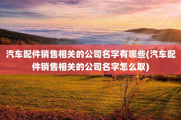 汽车配件销售相关的公司名字有哪些(汽车配件销售相关的公司名字怎么取)