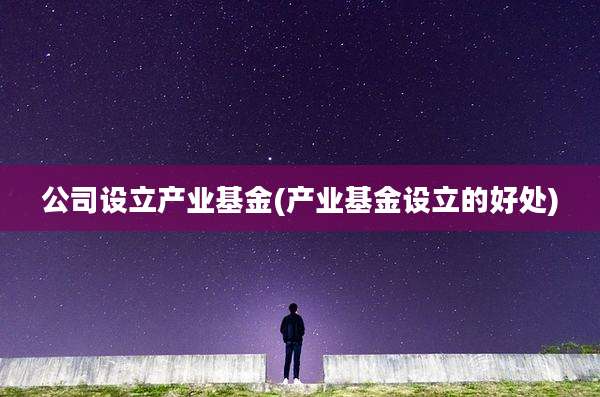 公司设立产业基金(产业基金设立的好处)