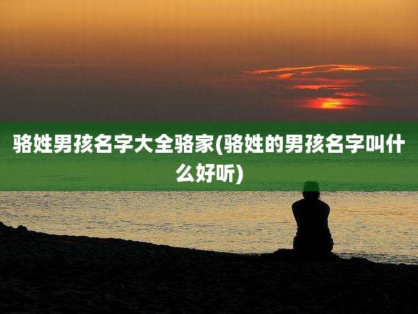 骆姓男孩名字大全骆家(骆姓的男孩名字叫什么好听)