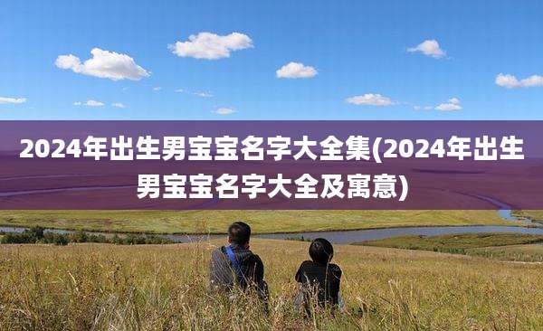 2024年出生男宝宝名字大全集(2024年出生男宝宝名字大全及寓意)