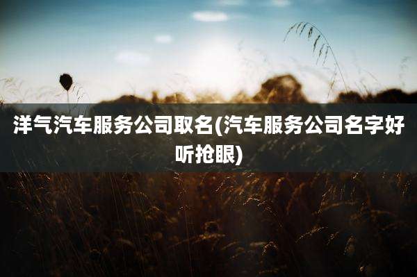 洋气汽车服务公司取名(汽车服务公司名字好听抢眼)
