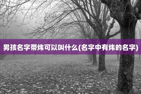 男孩名字带炜可以叫什么(名字中有炜的名字)