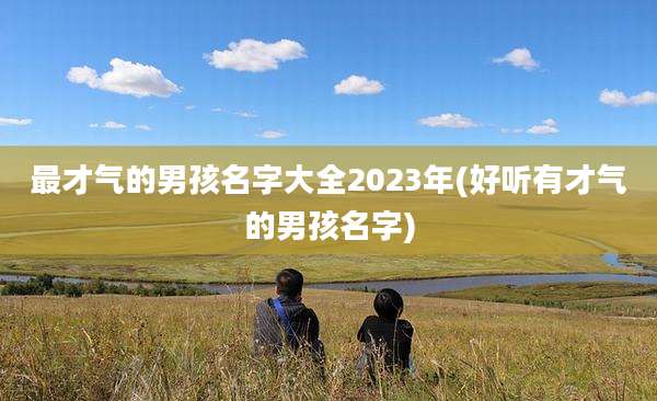 最才气的男孩名字大全2023年(好听有才气的男孩名字)