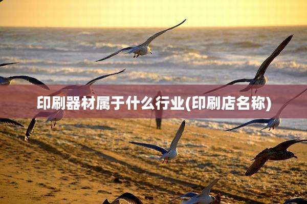 印刷器材属于什么行业(印刷店名称)