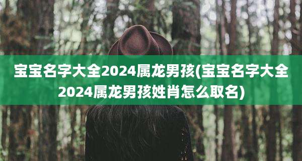 宝宝名字大全2024属龙男孩(宝宝名字大全2024属龙男孩姓肖怎么取名)