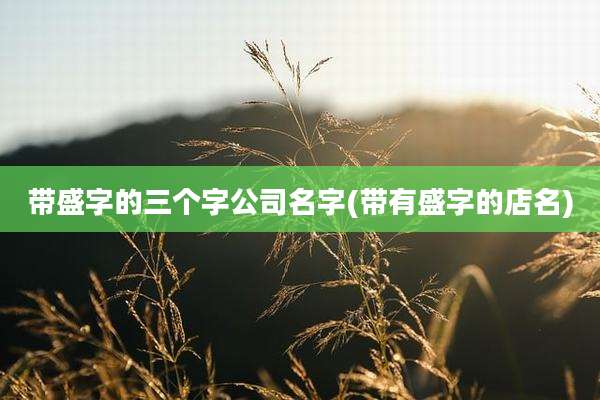 带盛字的三个字公司名字(带有盛字的店名)