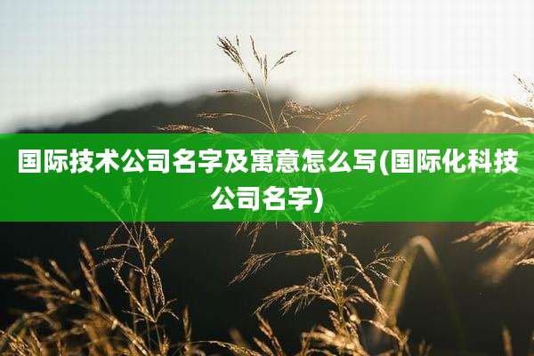 国际技术公司名字及寓意怎么写(国际化科技公司名字)