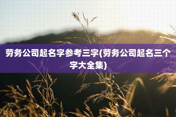 劳务公司起名字参考三字(劳务公司起名三个字大全集)