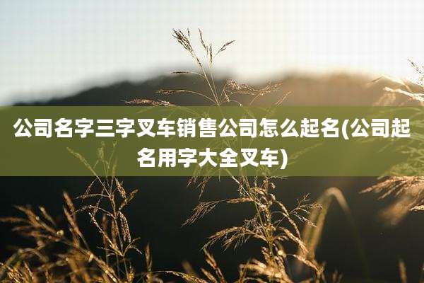 公司名字三字叉车销售公司怎么起名(公司起名用字大全叉车)