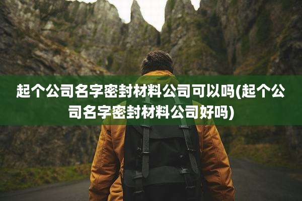 起个公司名字密封材料公司可以吗(起个公司名字密封材料公司好吗)