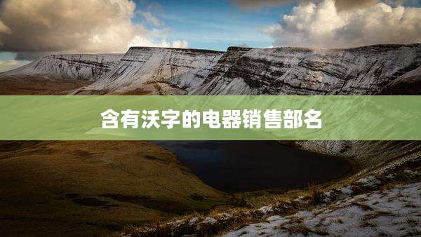 含有沃字的电器销售部名