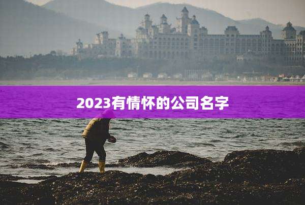 2023有情怀的公司名字