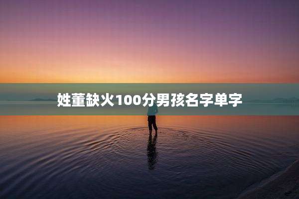 姓董缺火100分男孩名字单字