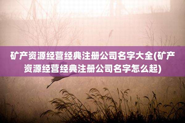 矿产资源经营经典注册公司名字大全(矿产资源经营经典注册公司名字怎么起)