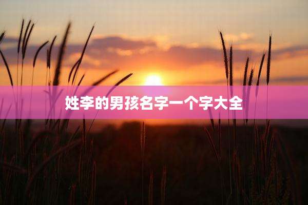 姓李的男孩名字一个字大全