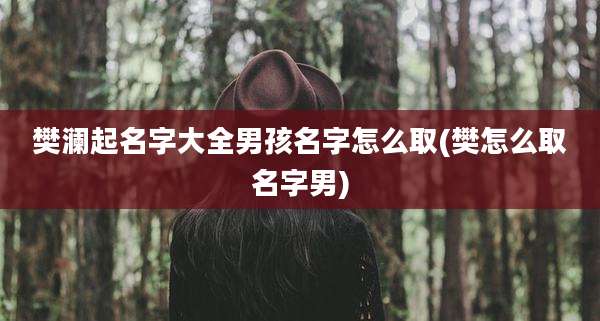 樊澜起名字大全男孩名字怎么取(樊怎么取名字男)