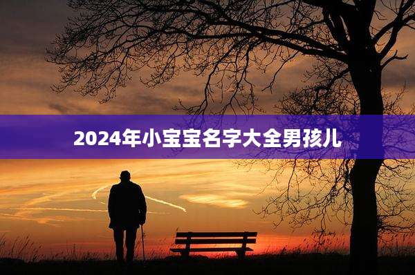 2024年小宝宝名字大全男孩儿