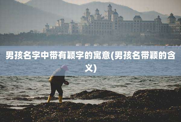 男孩名字中带有颖字的寓意(男孩名带颖的含义)