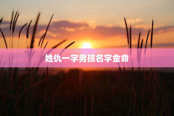 姓仇一字男孩名字金命
