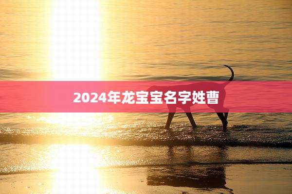 2024年龙宝宝名字姓曹