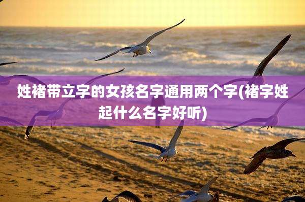 姓褚带立字的女孩名字通用两个字(褚字姓起什么名字好听)