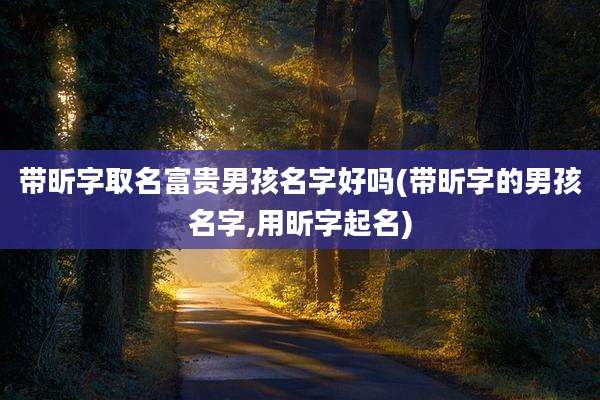 带昕字取名富贵男孩名字好吗(带昕字的男孩名字,用昕字起名)
