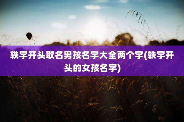 轶字开头取名男孩名字大全两个字(轶字开头的女孩名字)