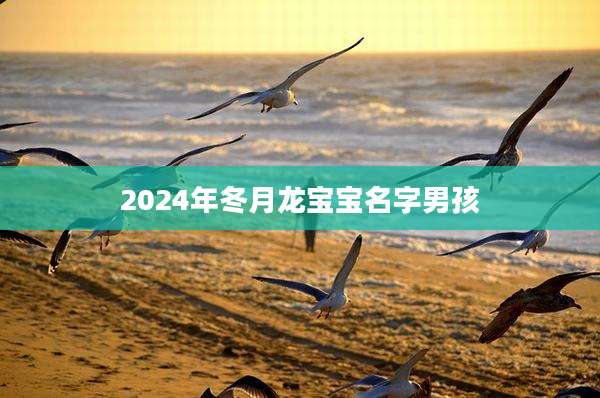 2024年冬月龙宝宝名字男孩