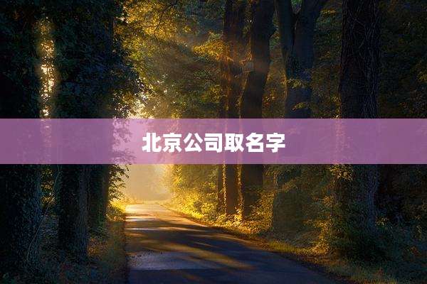 北京公司取名字