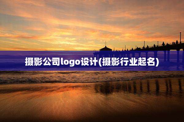 摄影公司logo设计(摄影行业起名)