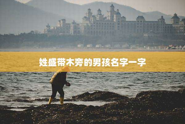 姓盛带木旁的男孩名字一字