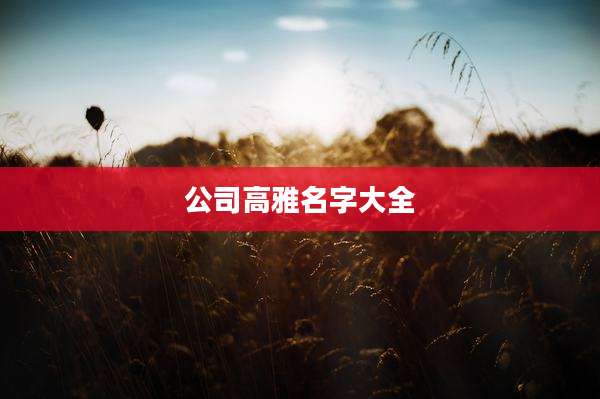 公司高雅名字大全