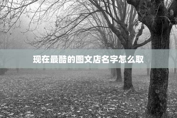 现在最酷的图文店名字怎么取