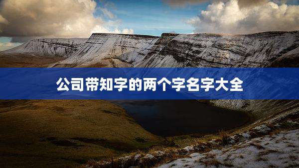 公司带知字的两个字名字大全