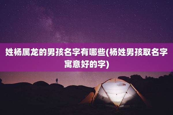 姓杨属龙的男孩名字有哪些(杨姓男孩取名字寓意好的字)