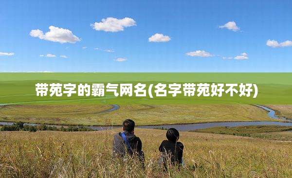带苑字的霸气网名(名字带苑好不好)