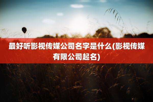 最好听影视传媒公司名字是什么(影视传媒有限公司起名)