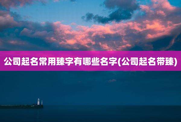 公司起名常用臻字有哪些名字(公司起名带臻)